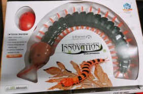 Plastic Centipede Toy 